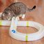 Ferplast Typhon Juguete Ineractivo con Pelota para gatos, , large indicador imagen numero 4